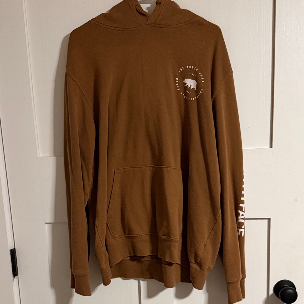 The North Face Brown Hoodie with Bear Graphic